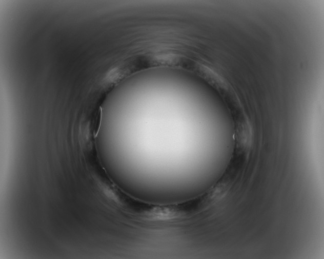 X0000086110764200703301236