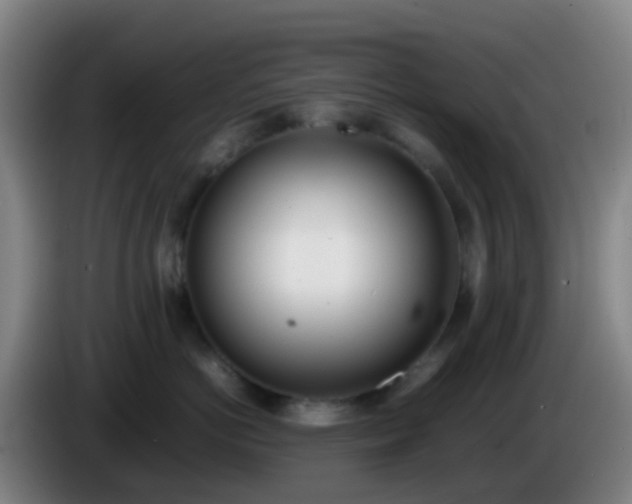 X0000086110766200703301237