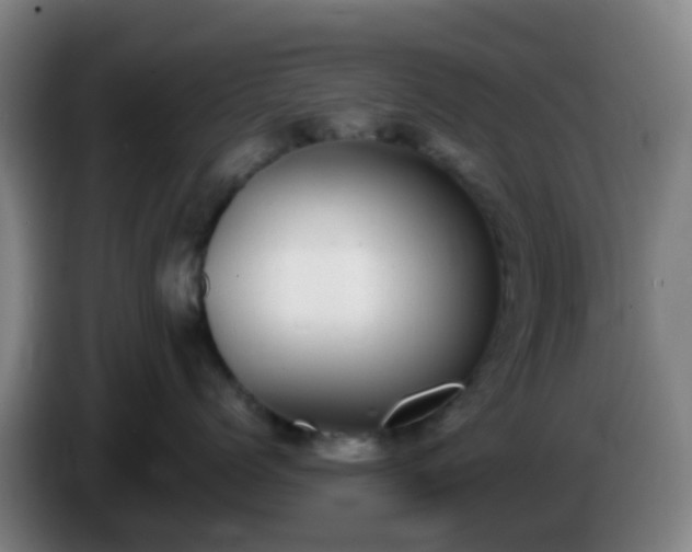 X0000086110768200703301237