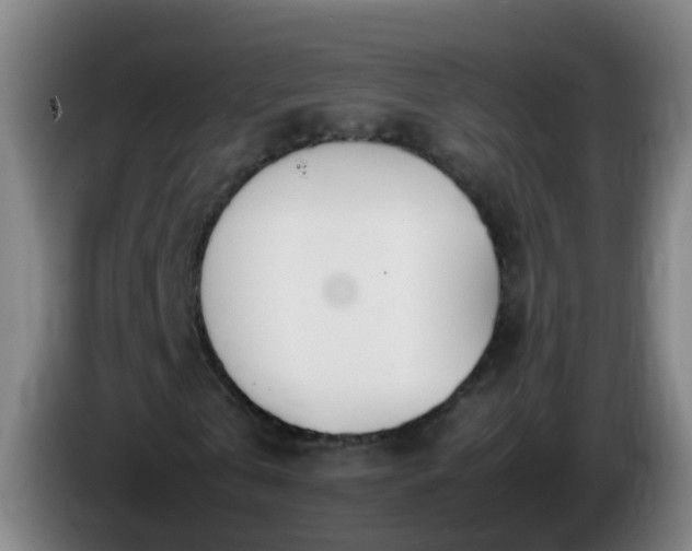 X0000086110769200703301236