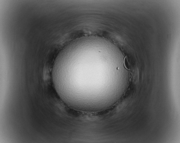 X0000086110770200703301236