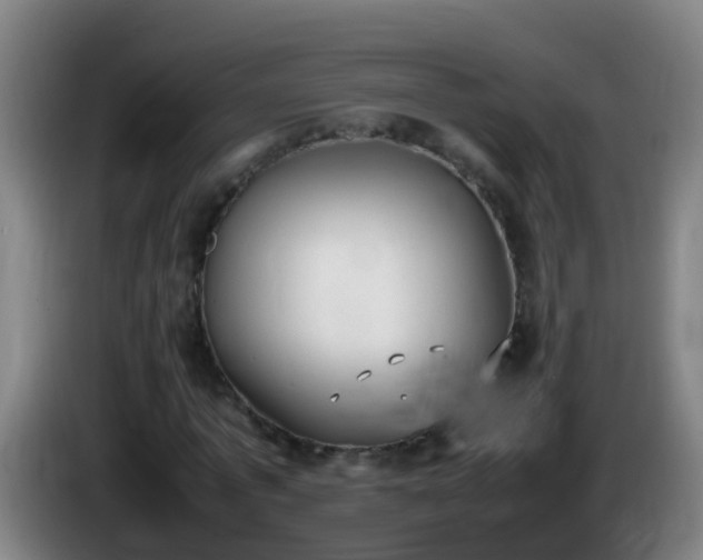 X0000086110773200703301236