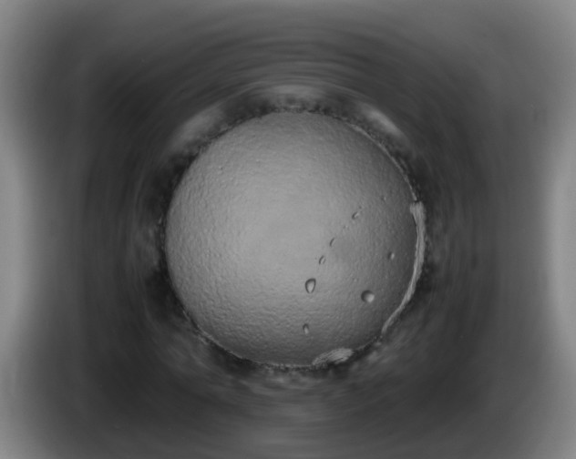 X0000086110774200703301236