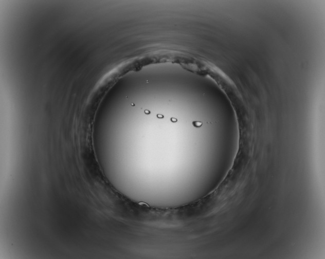 X0000086110775200703301236