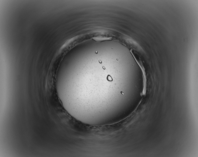 X0000086110776200703301236