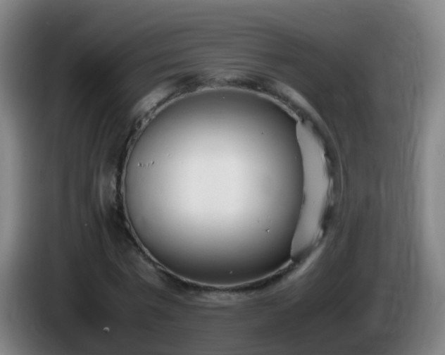 X0000086110777200703301236