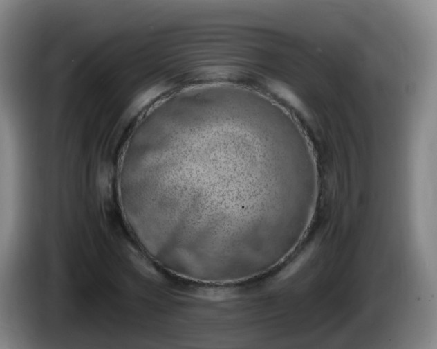 X0000086110778200703301236