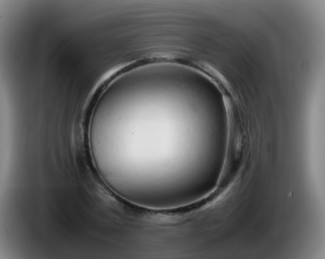 X0000086110779200703301236