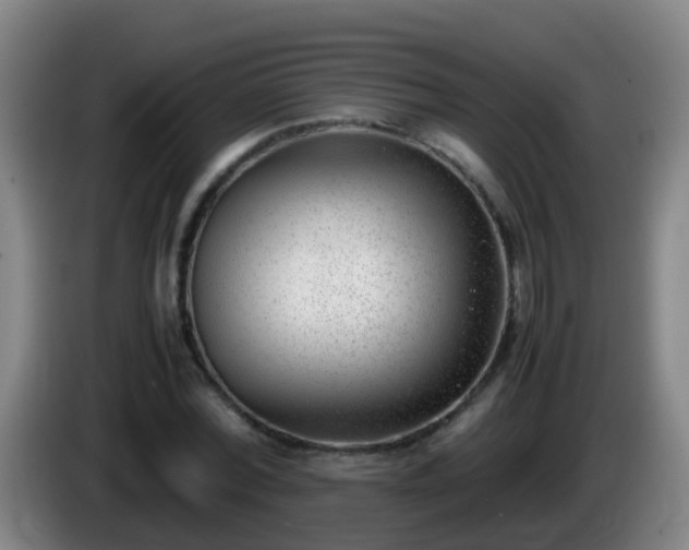 X0000086110780200703301236