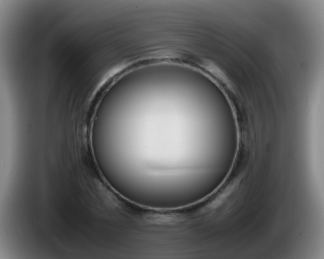 X0000086110781200703301236