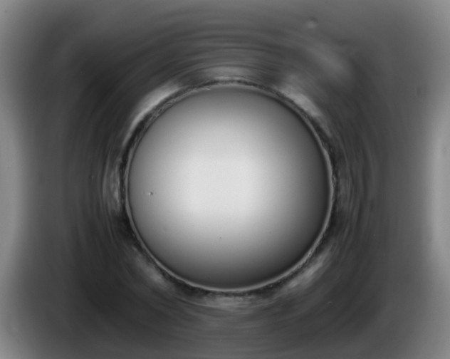 X0000086110782200703301236