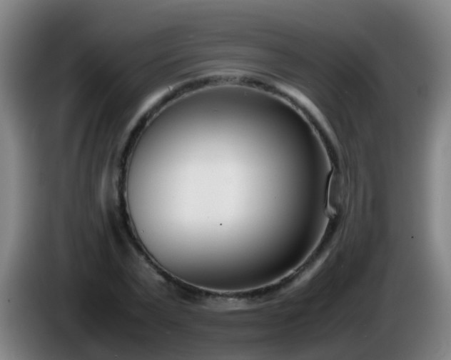 X0000086110783200703301236