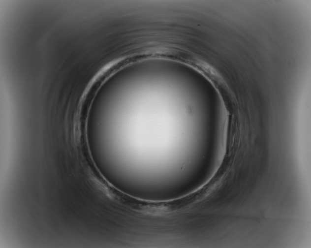 X0000086110784200703301236