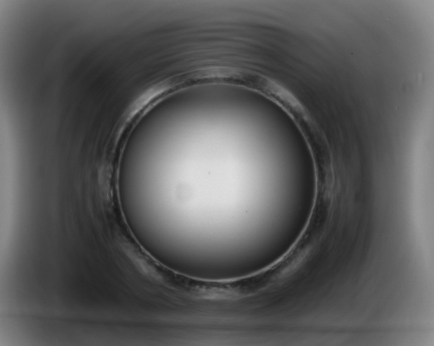 X0000086110786200703301236