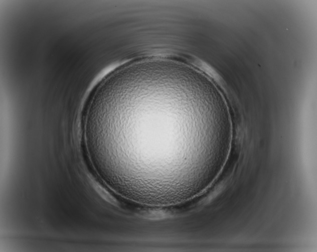 X0000086110787200703301236