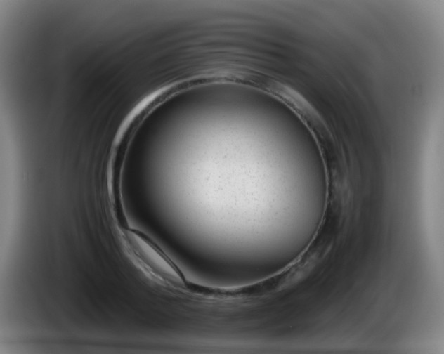 X0000086110788200703301236