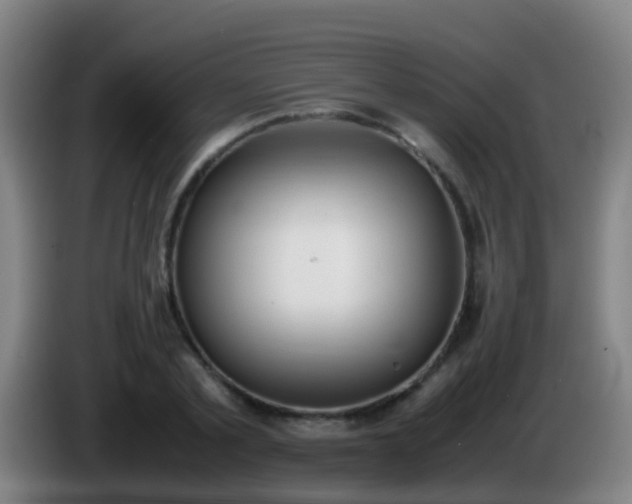 X0000086110789200703301236