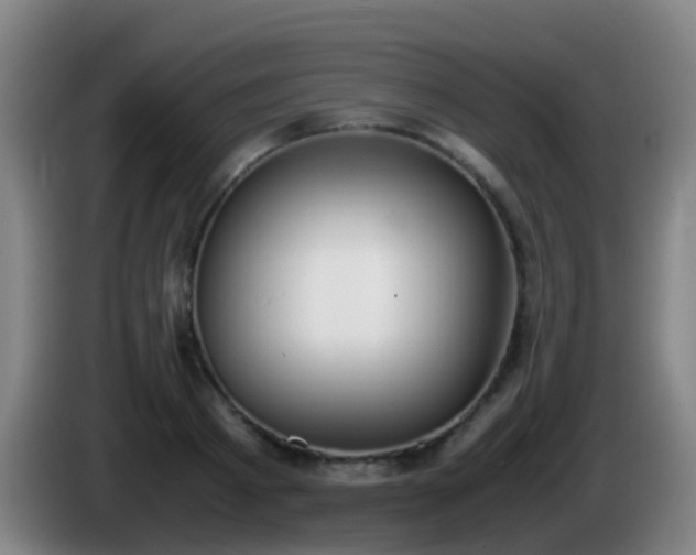 X0000086110793200703301236