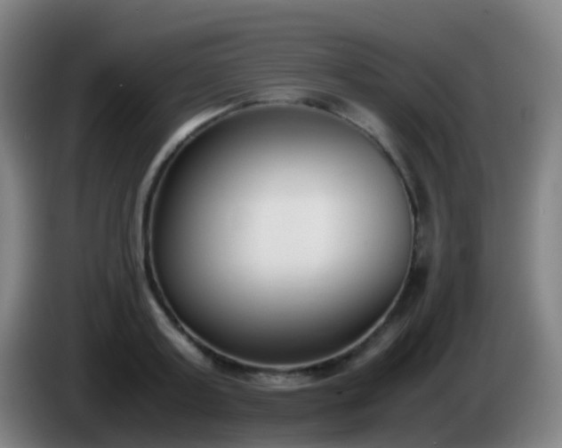 X0000086110795200703301235