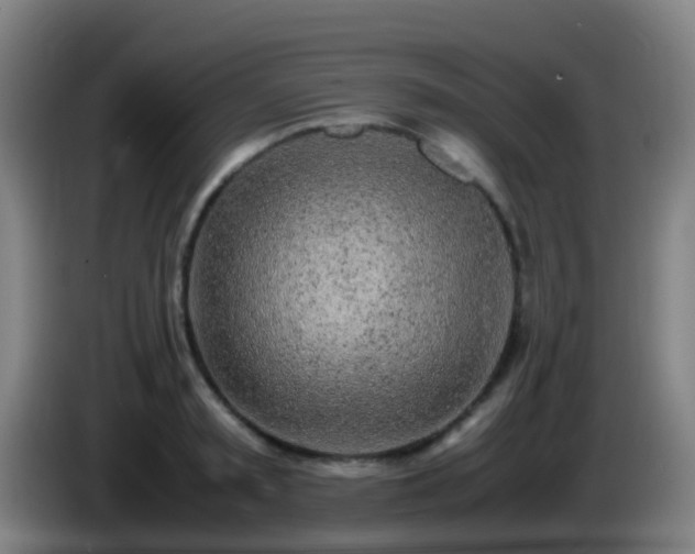 X0000086110797200703301235