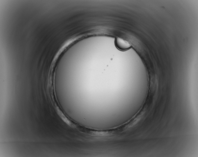 X0000086110800200703301235