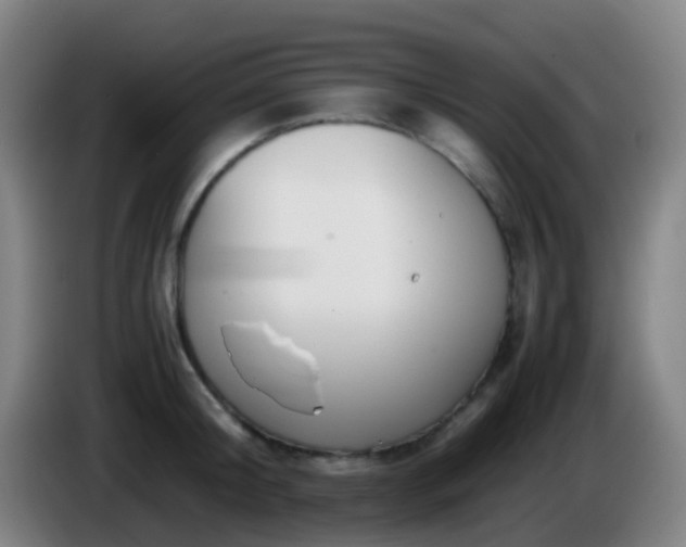 X0000086110804200703301235