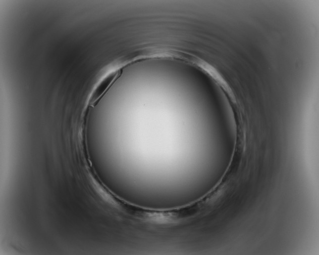 X0000086110805200703301235