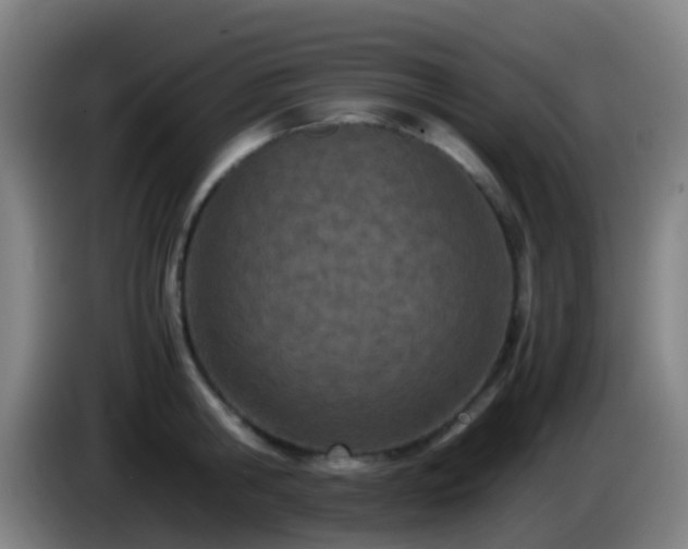 X0000086110806200703301235