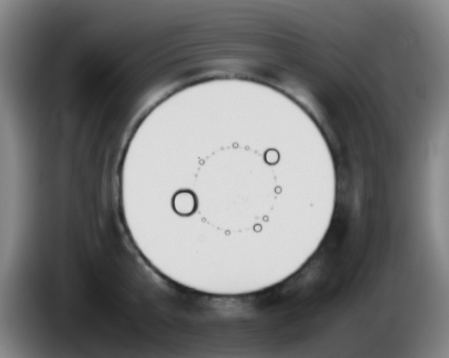 X0000086110807200703301235