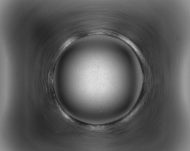 X0000086110809200703301235