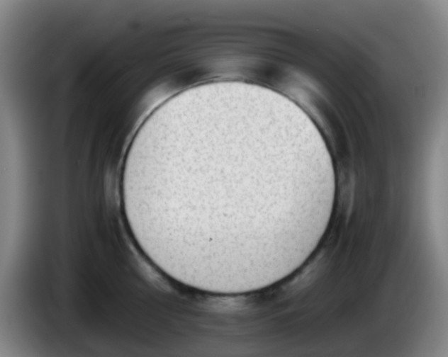 X0000086110810200703301235