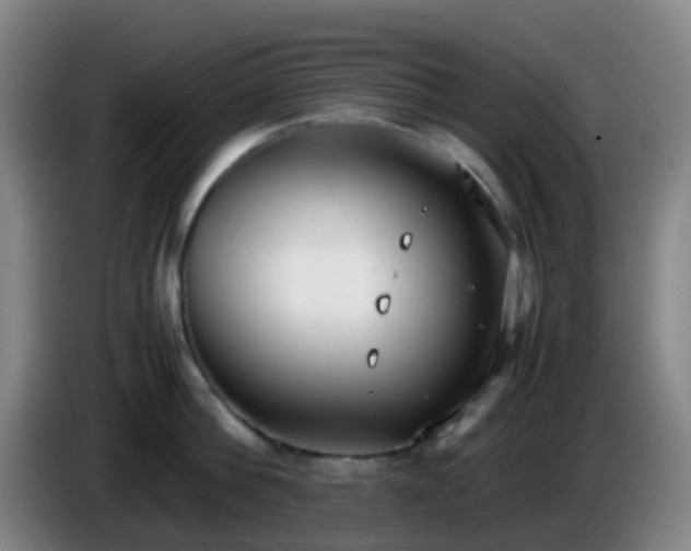 X0000086110812200703301235