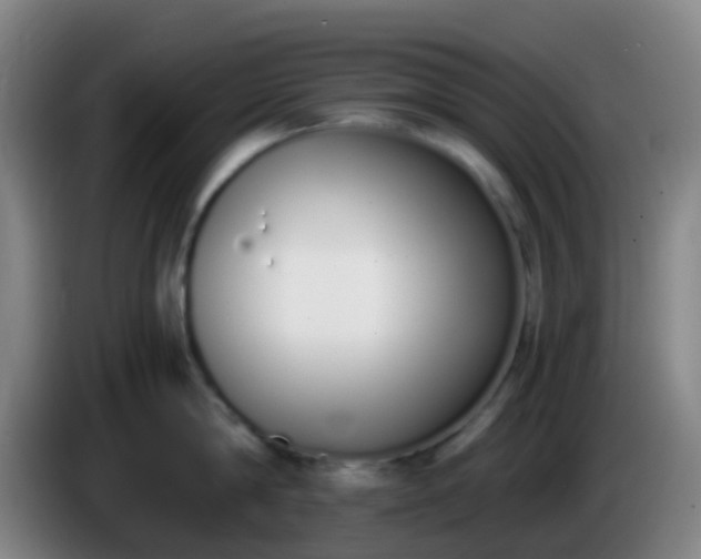 X0000086110814200703301235