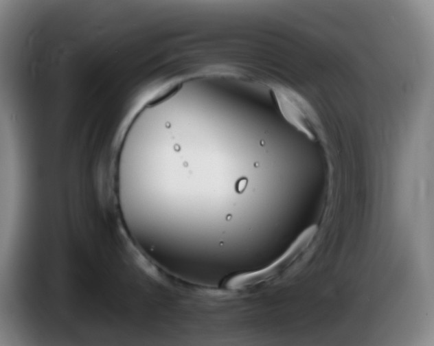 X0000086110816200703301235