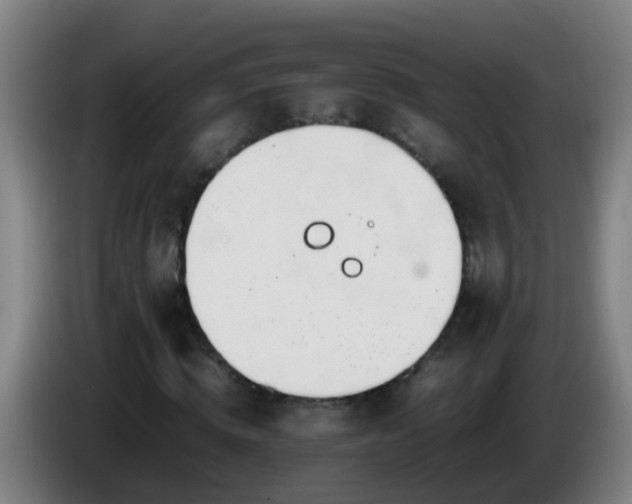 X0000086110820200703301235