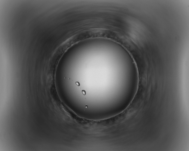 X0000086110821200703301235