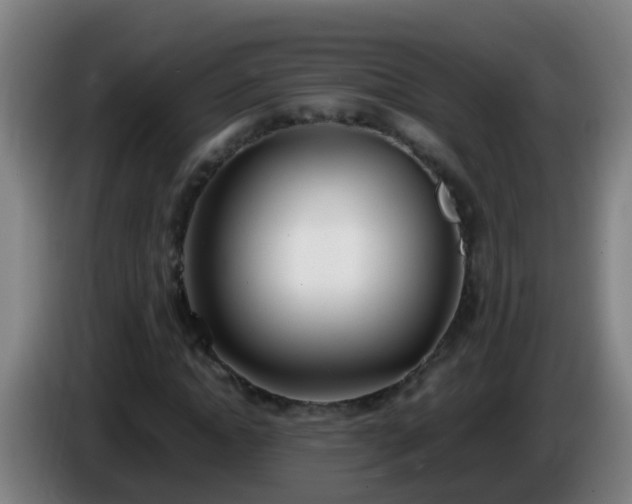 X0000086110822200703301235