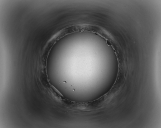 X0000086110823200703301235