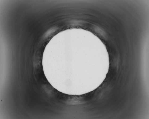 X0000086110824200703301235