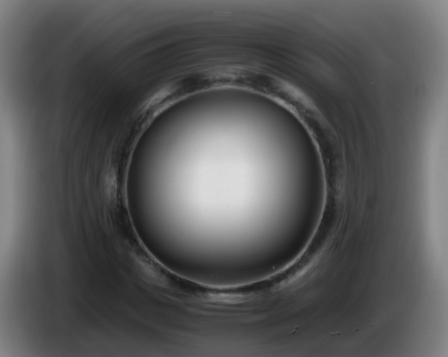 X0000086110825200703301235