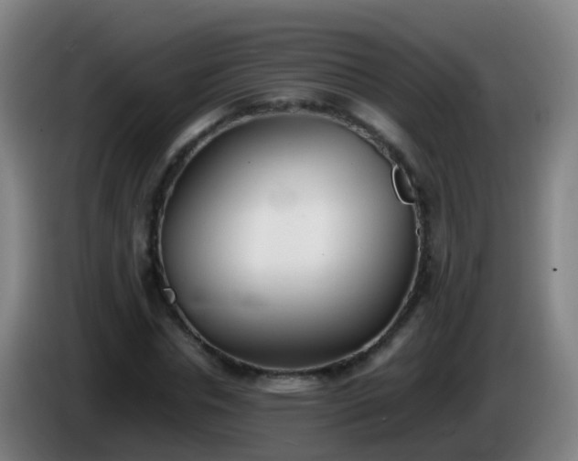 X0000086110826200703301235