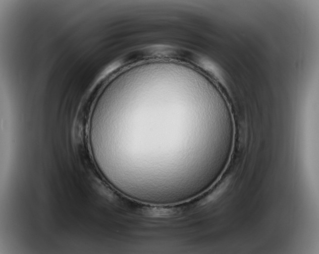 X0000086110827200703301235