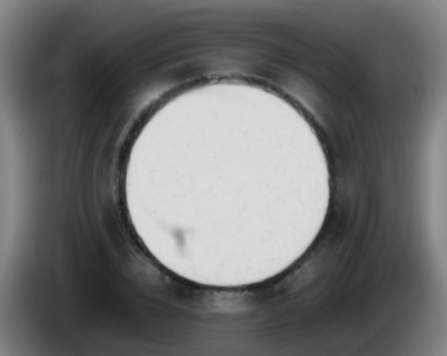 X0000086110832200703301235