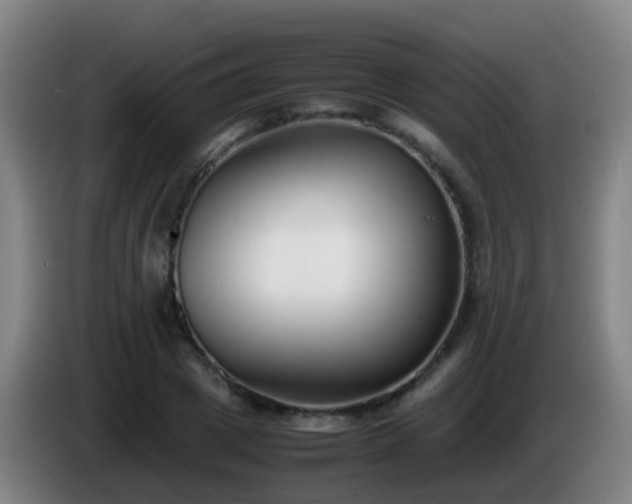 X0000086110833200703301235