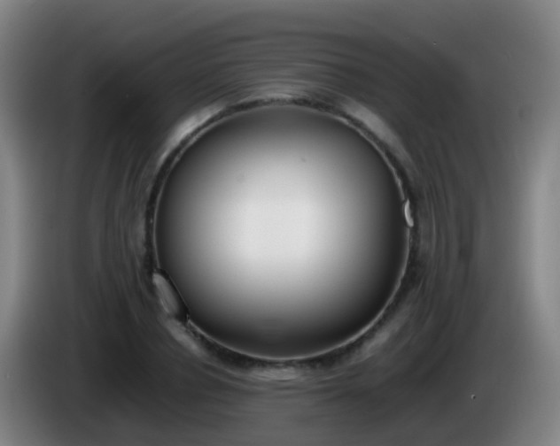 X0000086110834200703301235