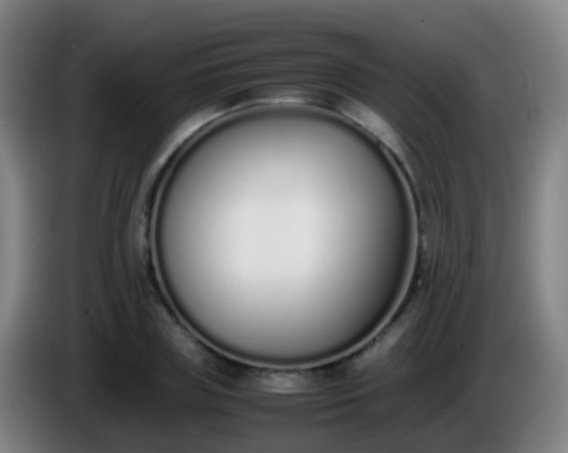 X0000086110835200703301235