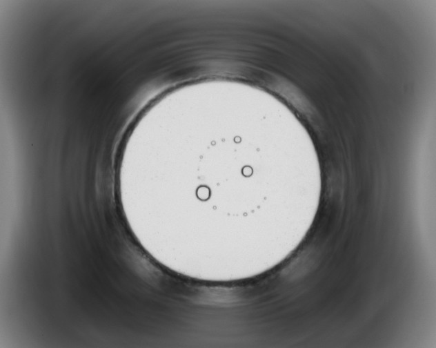 X0000086110836200703301235