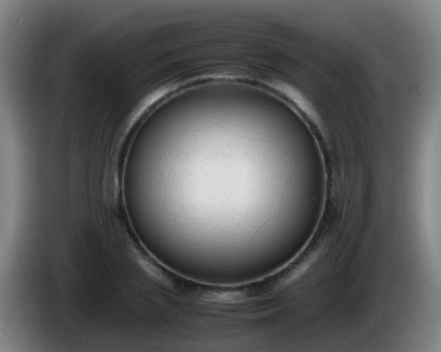 X0000086110837200703301235