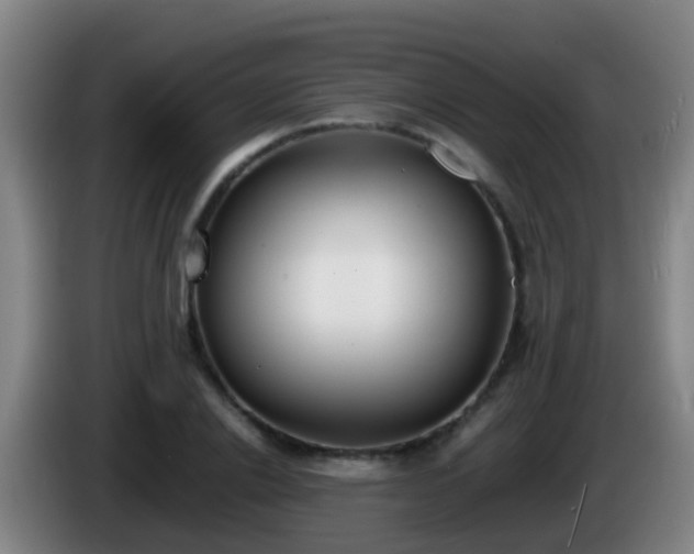 X0000086110838200703301235