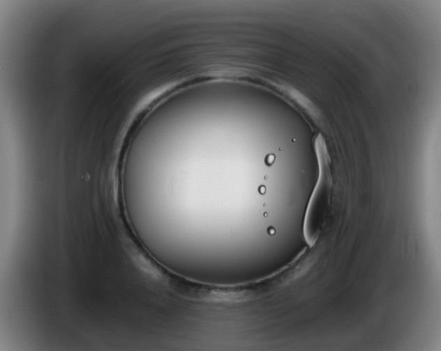 X0000086110840200703301235